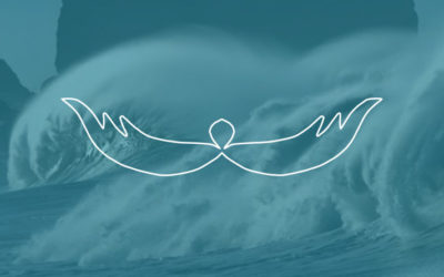 Universele Boodschap voor de week van 8 november 2021