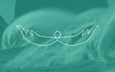 Universele Boodschap voor de week van 6 september 2021