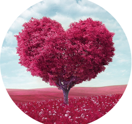 Universele Boodschap voor de week van 12 juli 2021