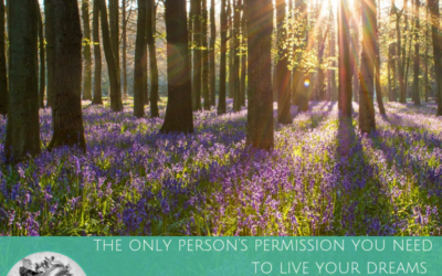 The Miracle Morning : het boek dat ook jouw leven kan veranderen !