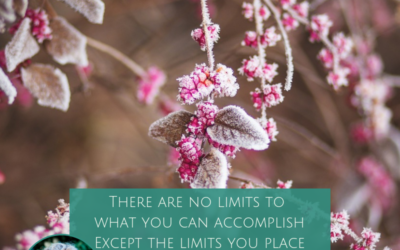 Omdraaien van de kaarten 21 januari 2019