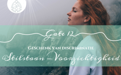 GATE 12: GATE VAN VOORZICHTIGHEID – STILSTAND